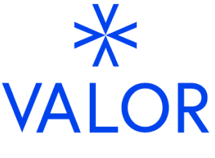 Valor Equity Partners Logo